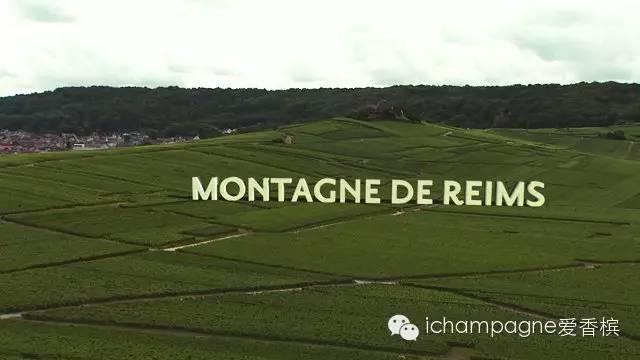 香槟的风土(一)：兰斯山脉 Montagne de Reims篇