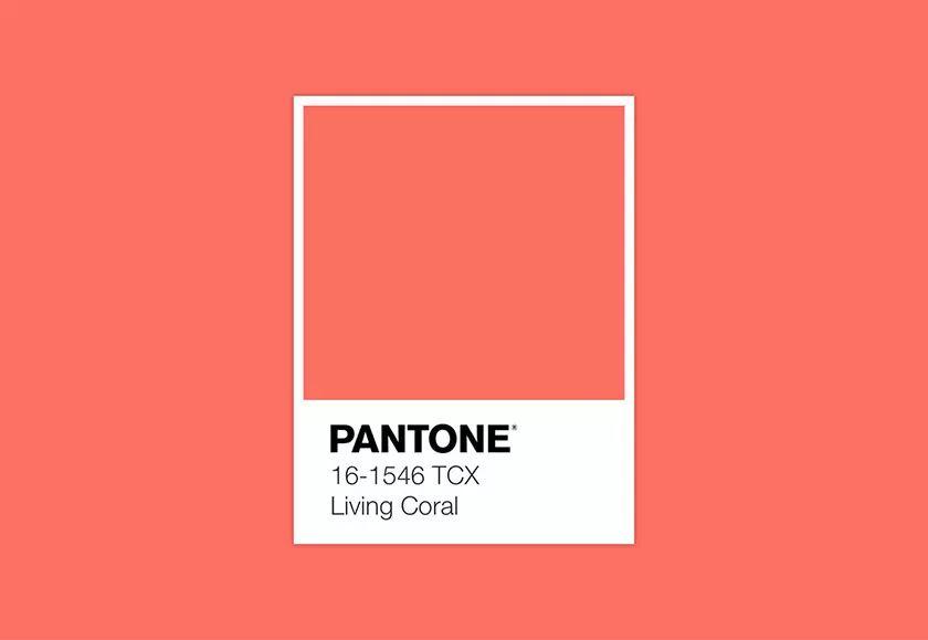 Pantone 2019流行色 | 活珊瑚橘与这些香槟才更配~