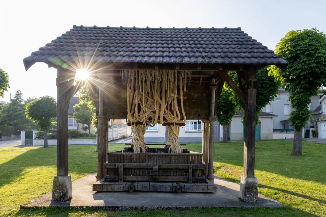 香槟区旅游 l 夏日限定专属葡萄园的艺术节