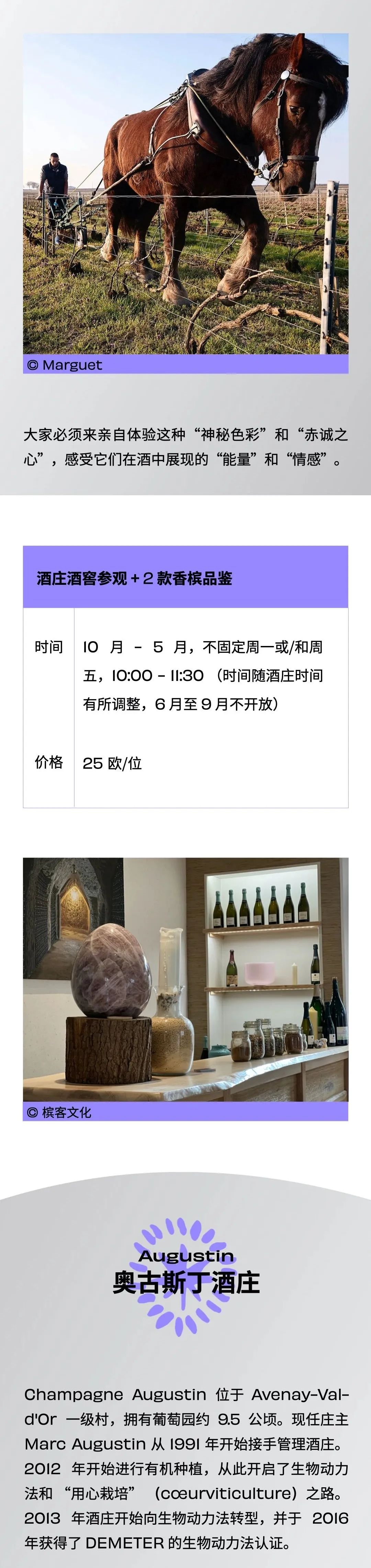 邀您和我们一起，探寻那些小农香槟酒庄的“魔法秘密