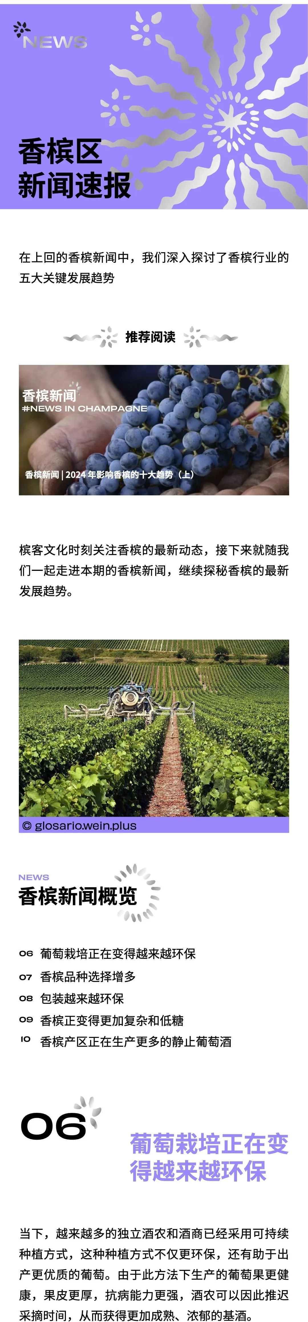 香槟新闻| 2024 年影响香槟的十大趋势（下）