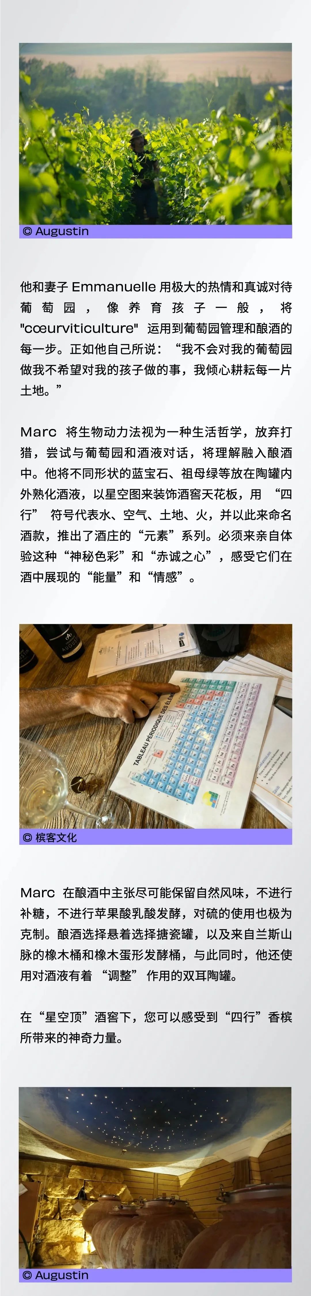 邀您和我们一起，探寻那些小农香槟酒庄的“魔法秘密