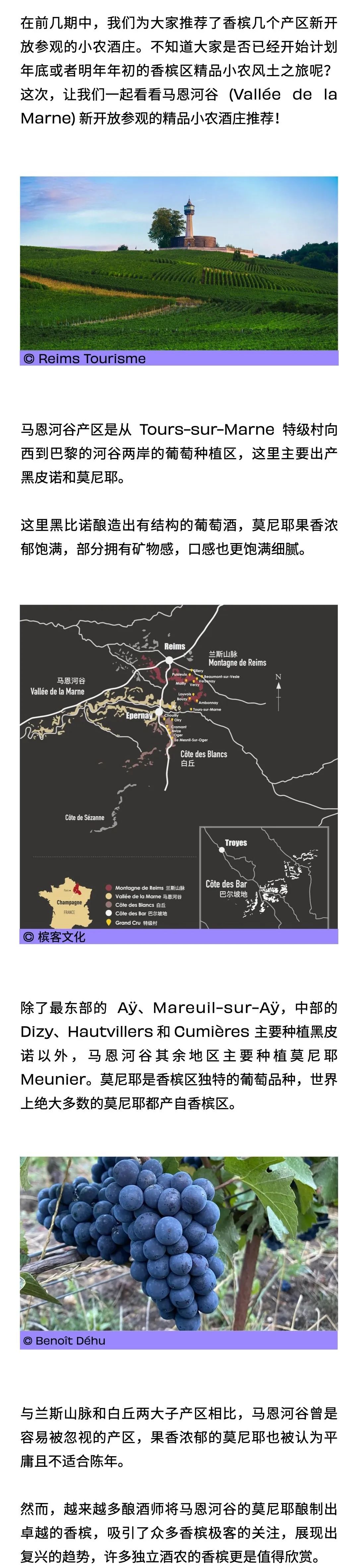 香槟旅游：马恩河谷 -- 莫尼耶的乐土，精品独立小农的复兴