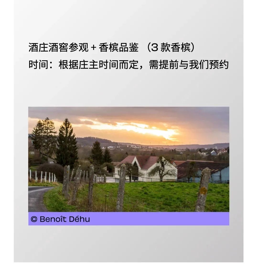 香槟旅游：马恩河谷 -- 莫尼耶的乐土，精品独立小农的复兴